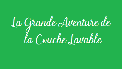 couches lavables ecolomag