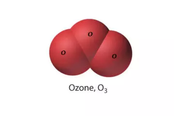 ozone article blog