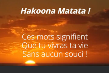 Hakoona Matata rejoint l'aventure des couches lavables